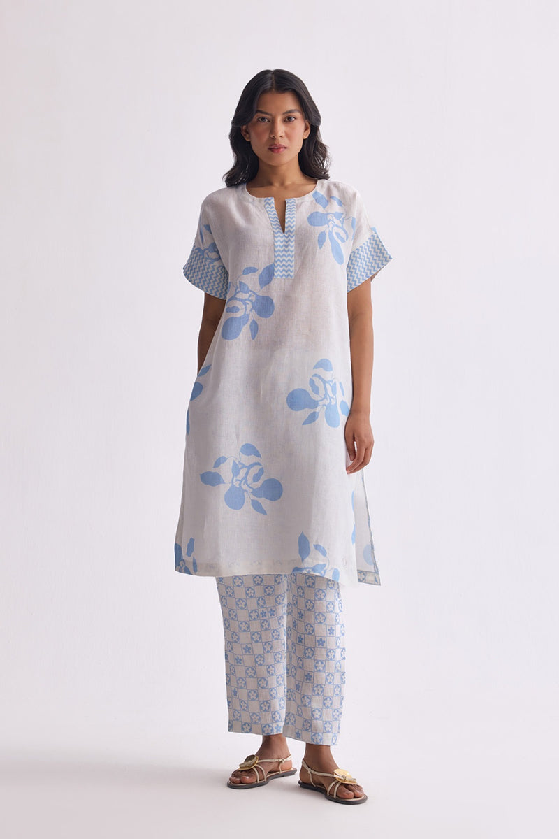 The Amaltas Cyanberry Linen Kurta Set