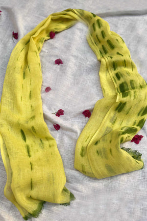 Rang Birangi Green Tie-Dye Scarf